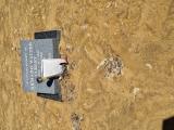 image of grave number 968432